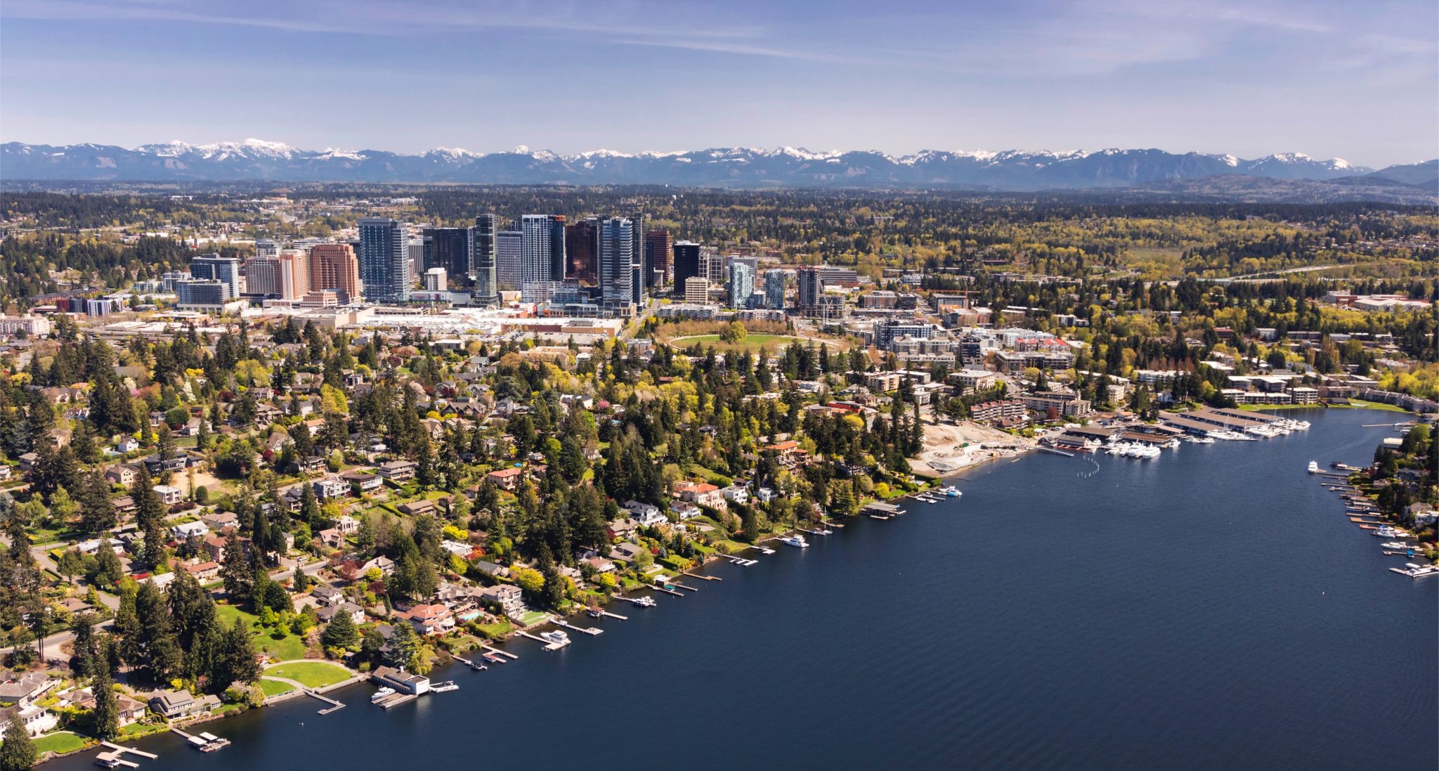 View of Bellevue